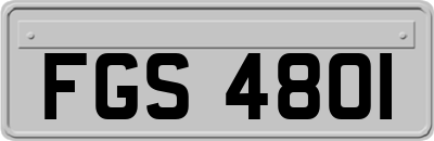 FGS4801