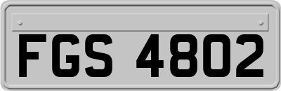 FGS4802