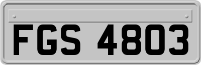 FGS4803