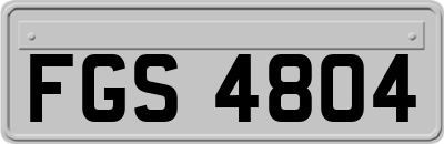 FGS4804
