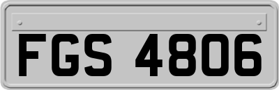 FGS4806