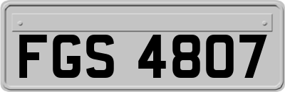 FGS4807