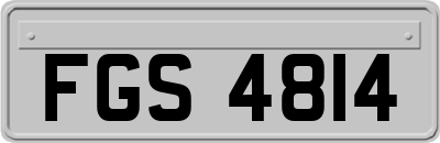 FGS4814