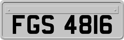 FGS4816