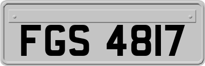 FGS4817