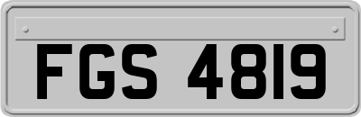 FGS4819