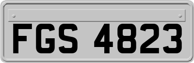 FGS4823