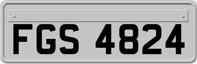 FGS4824
