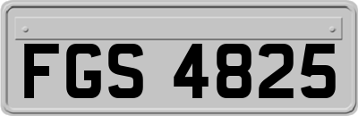 FGS4825