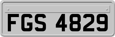 FGS4829