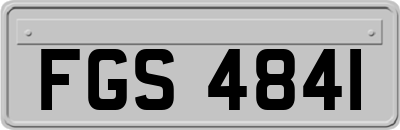 FGS4841