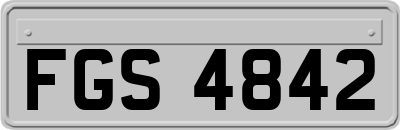 FGS4842