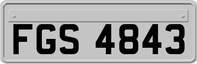 FGS4843