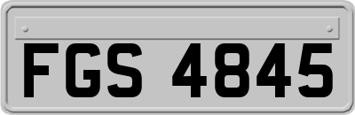 FGS4845