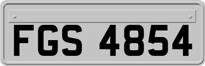 FGS4854