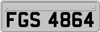 FGS4864