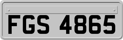 FGS4865