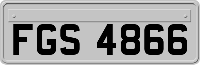 FGS4866