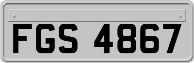 FGS4867