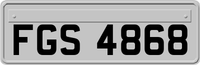 FGS4868