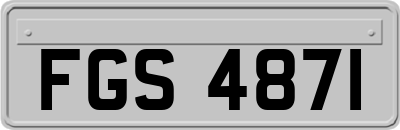 FGS4871