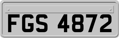 FGS4872
