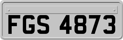 FGS4873