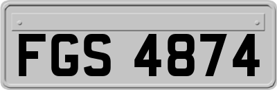 FGS4874
