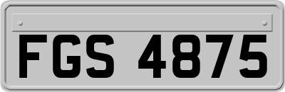 FGS4875