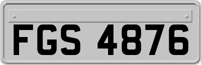 FGS4876