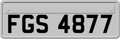 FGS4877