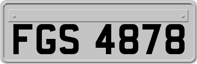 FGS4878