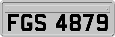 FGS4879