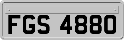 FGS4880
