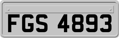 FGS4893