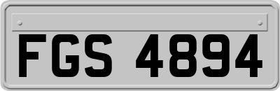 FGS4894