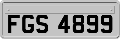FGS4899