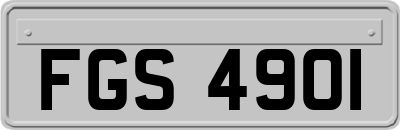 FGS4901