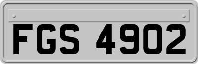 FGS4902