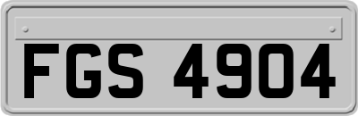 FGS4904