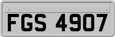 FGS4907