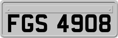 FGS4908