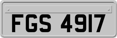 FGS4917
