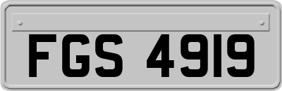 FGS4919