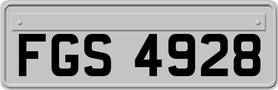 FGS4928