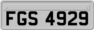 FGS4929