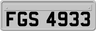 FGS4933