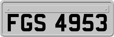FGS4953