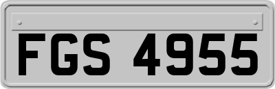 FGS4955