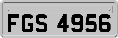 FGS4956